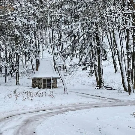 Διαμέρισμα Erdoszeli Haziko Szaunaval Es Jakuzzival Magyarhertelend
