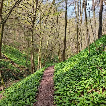 Erdoszeli Haziko Szaunaval Es Jakuzzival Magyarhertelend