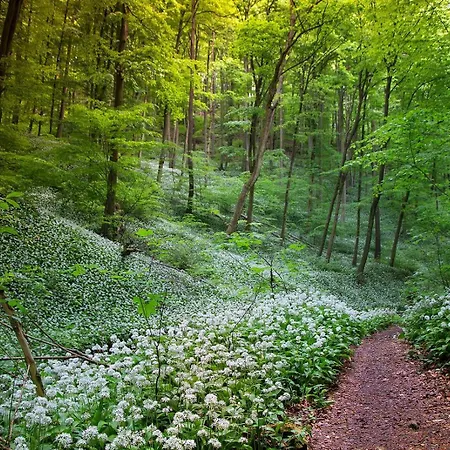 Erdoszeli Haziko Szaunaval Es Jakuzzival * Magyarhertelend