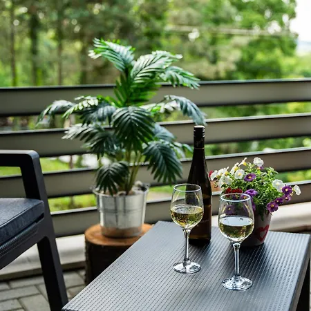 Erdoszeli Haziko Szaunaval Es Jakuzzival Διαμέρισμα