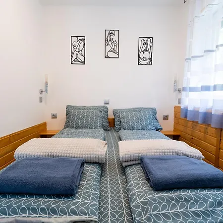 Erdoszeli Haziko Szaunaval Es Jakuzzival *