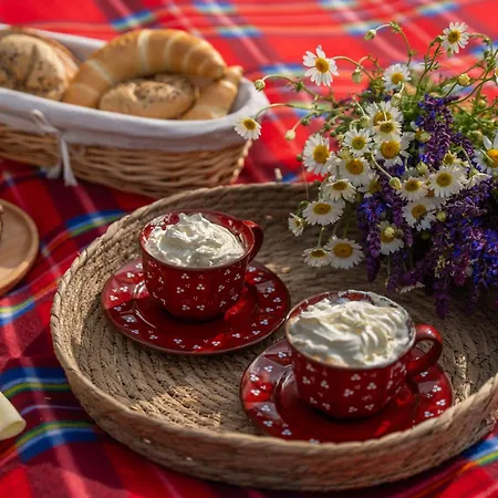 Erdoszeli Haziko Szaunaval Es Jakuzzival Magyarhertelend