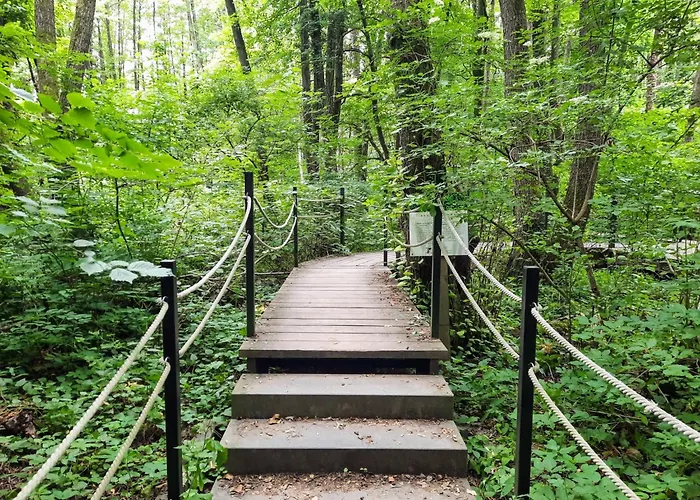 Erdoszeli Haziko Szaunaval Es Jakuzzival Daire Magyarhertelend